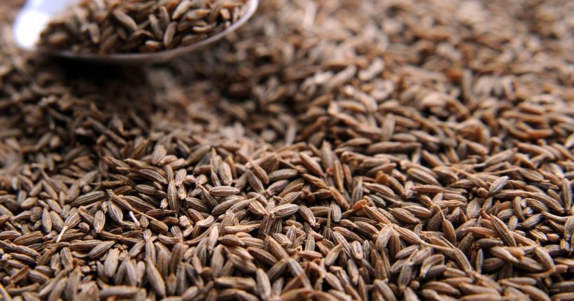 KIKKM_22-10-2010_16-54-7_CUMIN_3